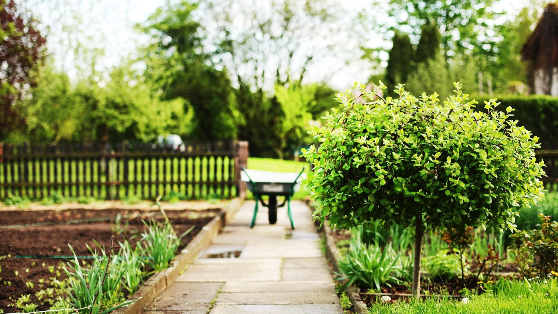 Благоустройство дома и сада